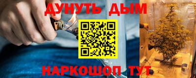 прущие грибы Рязань
