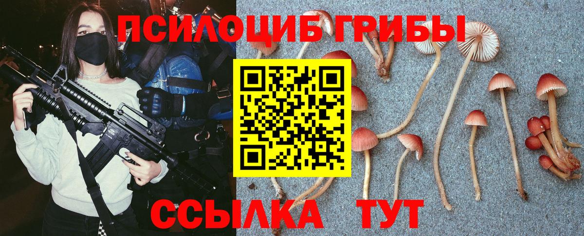 Галлюциногенные грибы Cubensis  Вход с VPN  Саянск 